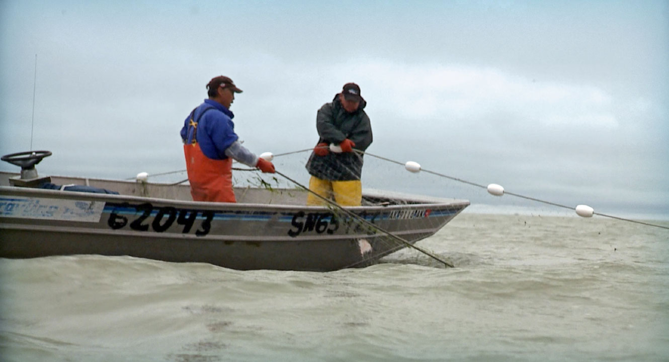 Learn More About Bristol Bay!