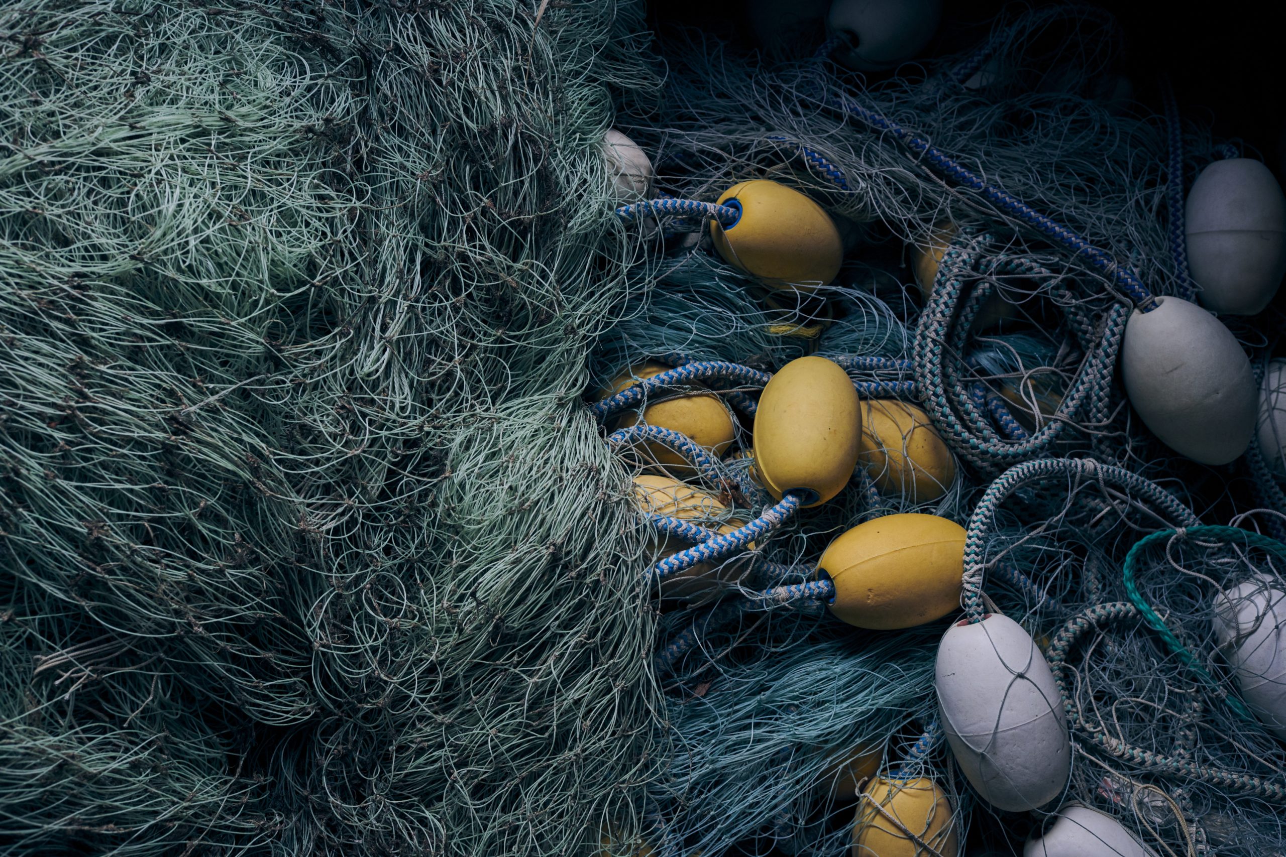 2019 Leadership Compliance Conference Operating With Integrity